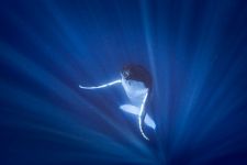 Tahiti Plongée Passion Fun dive