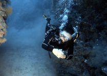 Tahiti Plong&eacute;e Passion Fun dive
