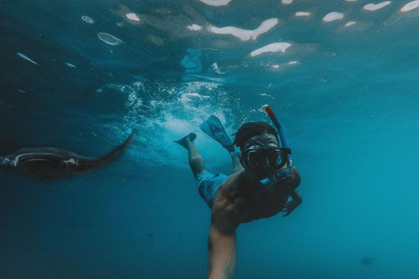 Tahiti Plongée Passion Fun dive