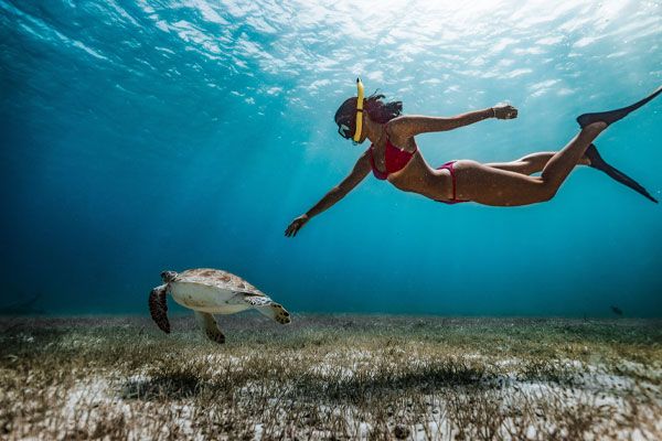 Tahiti Plongée Passion Fun dive